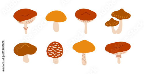 Set of different mushrooms. Simple autumn icons on white background. Forest edible and poisonous wild fungus, flat style vector illustration. Brown, red, orange, and beige colors