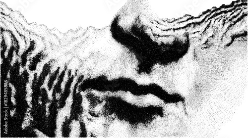 Engraving print in vintage style. Antique silhouette drawing featuring intricate details and stipple texture, black and white vector illustration.