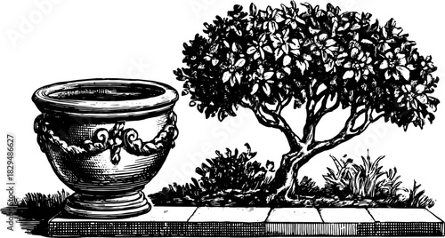 Decorative plant and bush in a vintage pot. Black and white vector illustration of a scenic garden set featuring flora and ornamental details.