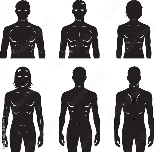 Diverse Human Body Silhouettes Illustration with Muscular and Slim Designs