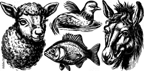 Animal vector illustration set featuring a sheep, horse, bird, and fish. This black and white graphic showcases various animal styles.