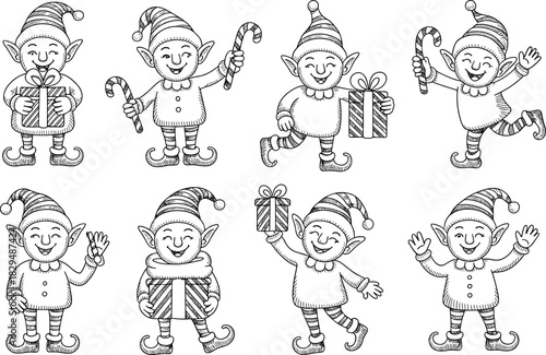 Detailed Vector Diagram Set of Human Body Systems: Skeletal, Muscular, and Organ Anatomy