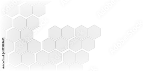 Abstract modern hexagon background. White and grey honey geometric texture. Vector illustration