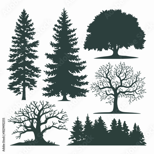 Set of six different types of trees with various shapes and sizes, including coniferous and deciduous trees, isolated on