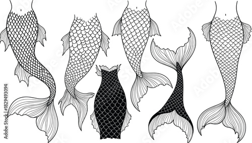 Mermaid tail vector collection with intricate scales and fins, fantasy fish body drawing outline art, mythical ocean creature silhouette illustration set, perfect for design assets