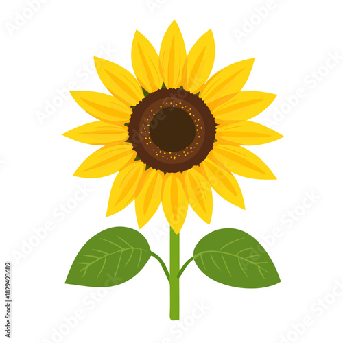 2D flat vector illustration of Sunflower, clean and minimal icon style, isolated on white background.