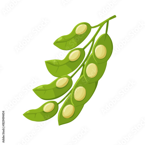 Modern flat 2D vector illustration of Soybean Pod, clean and minimal design, isolated on white background.