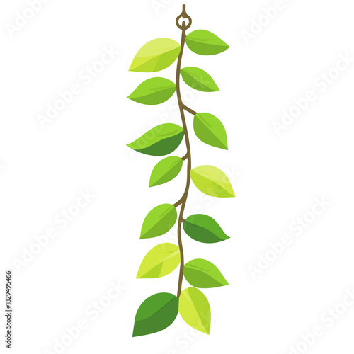 2D flat vector illustration of Watch Chain Plant, designed in a clean icon style and isolated on a white background.