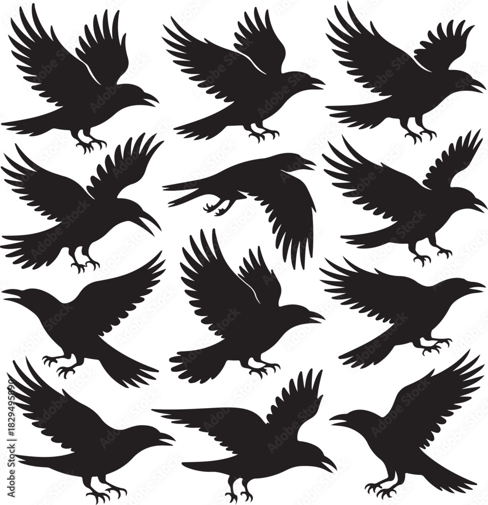 Obraz premium Silhouette Raven Vector Image Collection Pattern Flying Bird Vector Set