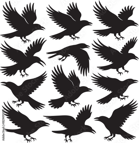 Silhouette Raven Vector Image Collection Pattern Flying Bird Vector Set