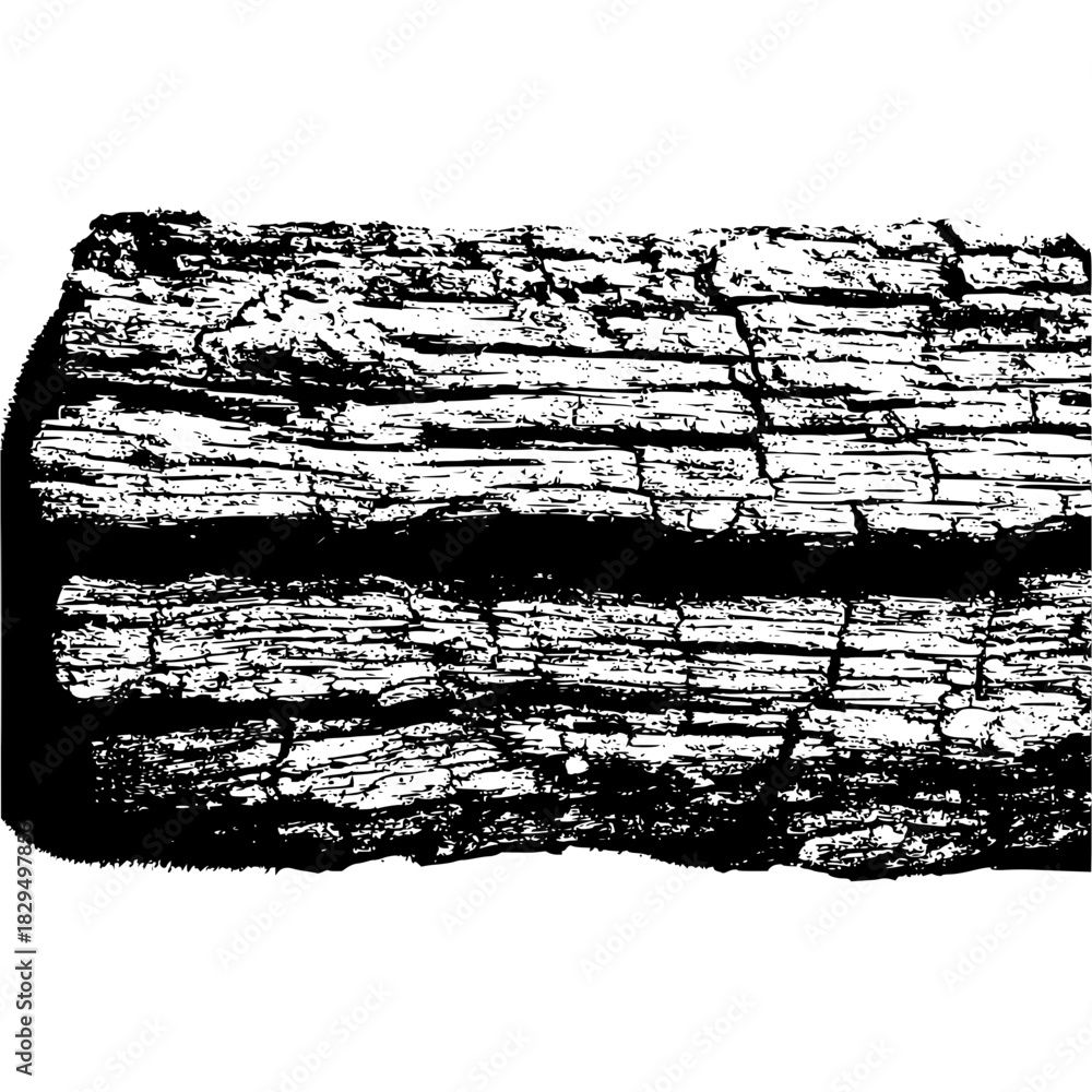 Obraz premium Illustration of a wood pattern isolated on hand drawn vector illustration of a tree wood texture black and white drawing of a tree wood