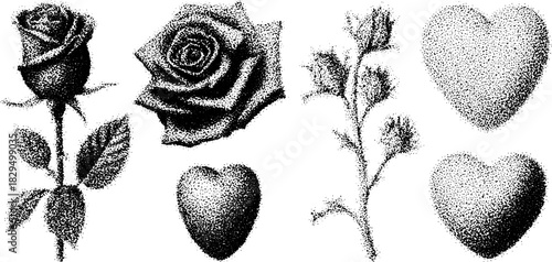 Set of rose and heart illustrations in vintage engraving style. Hand-drawn black outline vector illustration with detailed designs.