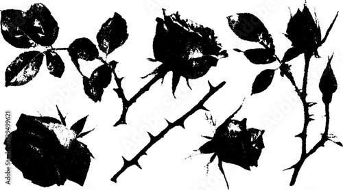 Black rose silhouettes. Simple vector floral illustration featuring leaves and thorns, designed with a minimal and elegant style.