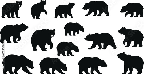 Large Vector Silhouette Set of Fifteen Grizzly or Brown Bears in Walking and Standing Poses, Illustrating Powerful North American Wildlife and Nature