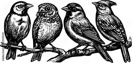 Engraved illustration of birds perched on a branched silhouette. Vintage vector art detailing wildlife in a set.