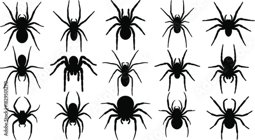 Black silhouette spider collection featuring diverse arachnid poses, detailed vector illustrations, creepy 
