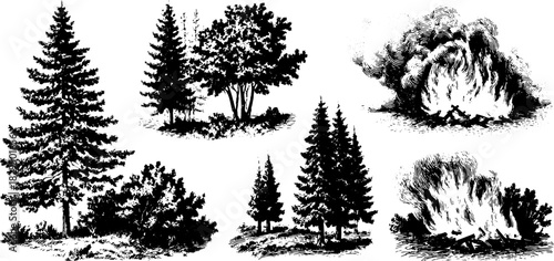 Silhouettes of trees with a campfire in an antique engraving style. Vintage vector illustration set depicting nature and scenery.