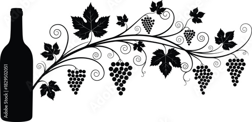 Monochrome vector silhouette of a classic wine bottle with a lavish decorative grape vine, leaves, clusters, and swirl tendrils, perfect for labels and winery branding, isolated.