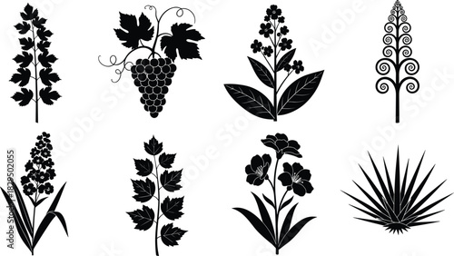 Monochrome black vector silhouette set of diverse botanical elements, featuring grape clusters, flowering plants, foliage, and ornate stylized herbs, ideal for labels and logos, isolated.