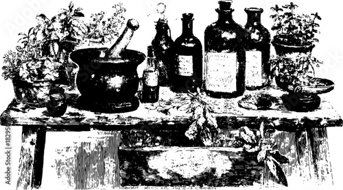 Engravings of vintage apothecary items on a wooden table, including a mortar and various bottles with herbs. This detailed vector illustration showcases a botanical set.