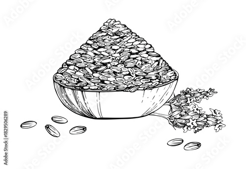 Single lavender flower stems, flat clay bowl with lavandula seeds spilling. Isolated illustration hand drawn in vector ink. Wardrobe freshener, spa set, rustic gift, handmade packaging, aromatherapy