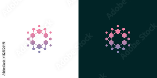 Modern abstract hexagonal network logo concept, symbolizing interconnected data, scientific research, and technological innovation with a vibrant gradient design