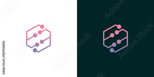 Abstract network hexagon connection technology data information digital futuristic logo design