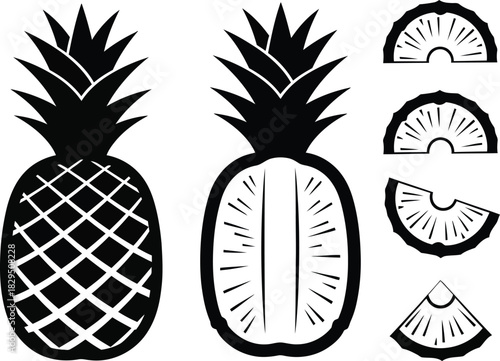 Flat design pineapple vector icon set