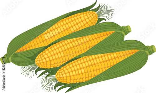 Three ears of corn flat design vector