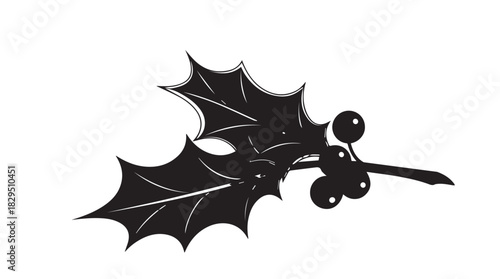 A single sprig of vibrant green holly leaves with bright red berries on a white background silhouette