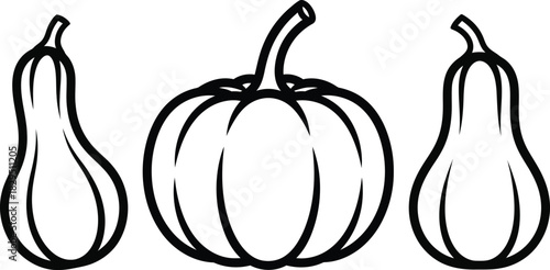 Pumpkin and butternut squash flat design vector