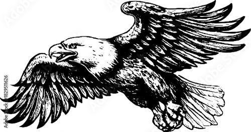 Eagle flying in outline style. Black and white vintage vector illustration, capturing intricate details in an engaging graphic set.