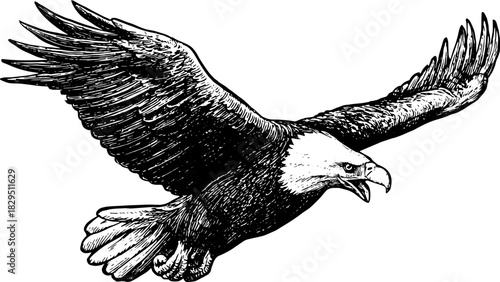 Eagle in flight with detailed black outline. Vintage vector illustration showcasing nature's mighty bird in a striking graphic design.