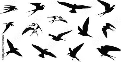 Vector Silhouette Collection of Swallows, Swifts, and Flying Birds in Various Poses, Illustrating Freedom, Nature, Movement, and Wildlife Migration