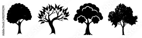 Silhouette depiction of four different tree types including one with leaves and bare branches isolated 100
