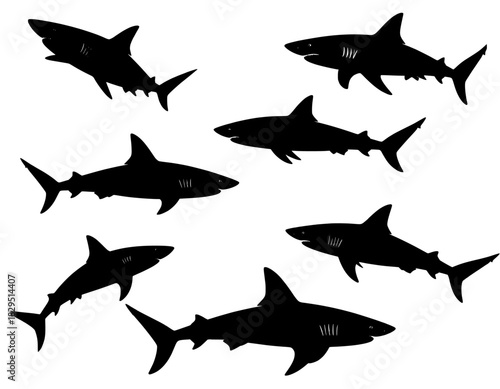 illustration set vector silhouette shark