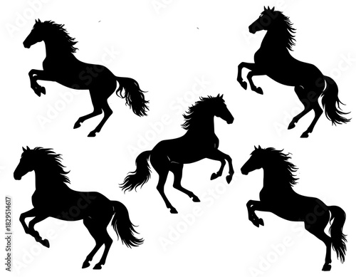 illustration set vector silhouette horse