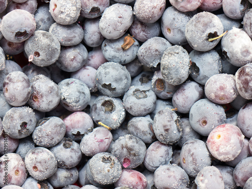 Frozen bog bilberry.
