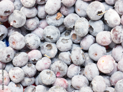 Frozen bog bilberry.