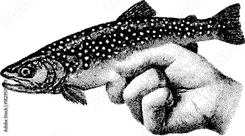Fish held by hand in vintage engraving style. This black outline drawing showcases the beauty of nature in a hand-drawn vector illustration.