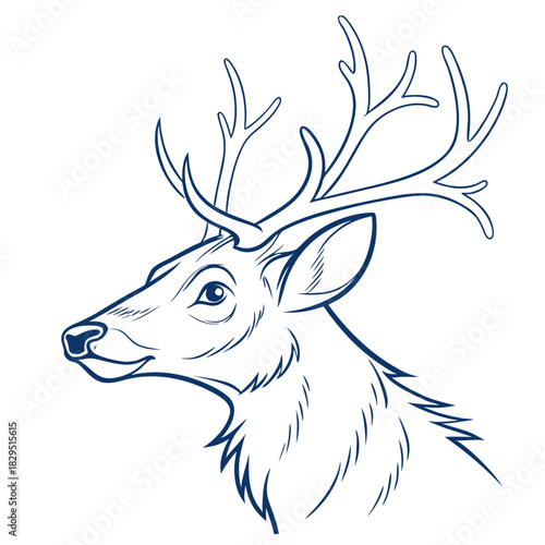 Elegant Deer Portrait: A refined illustration showcasing a majestic deer with intricate antlers, embodying grace and wilderness.