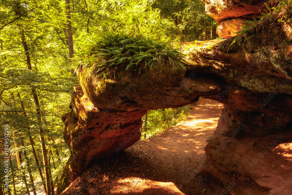 Obraz premium Felsenwald bei Pirmasens