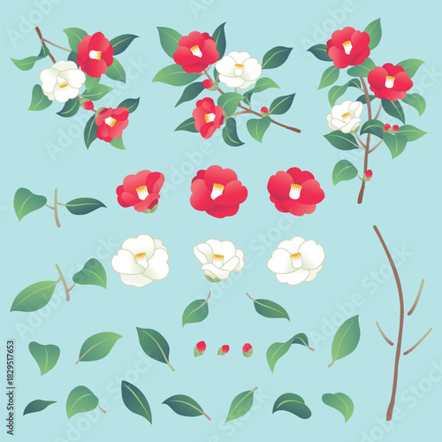 赤と白の椿の花　パーツのイラスト素材