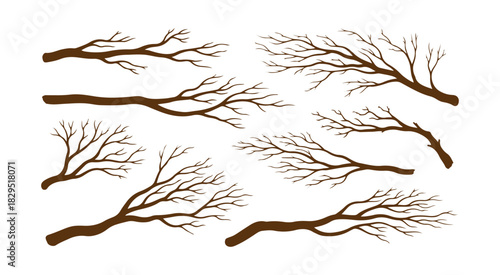 A collection of hand-drawn tree branches, featuring dry branches against a white backdrop


