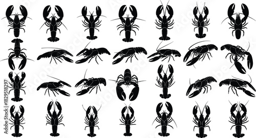 Collection of detailed black lobster silhouettes in multiple poses, marine seafood crustacean vector illustrations perfect for fishing, ocean, restaurant design projects