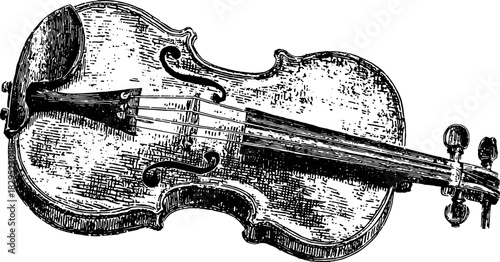 Vintage violin illustration in black and white. Detailed musical instrument vector set showcasing craftsmanship and design.