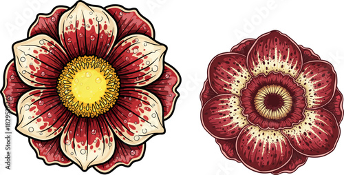 Rafflesia hasseltii Vector Trio – Ultra Detailed Floral Art