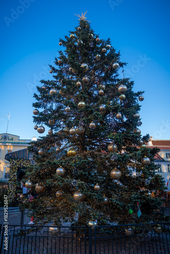 A tall Christmas tree with a star topper stands in Tallinn Town Hall Square, Estonia, glowing with gold baubles and warm lights, fenced with market stalls in daylight.