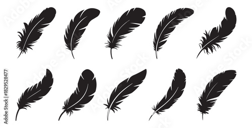Collection of ten black bird feather silhouettes