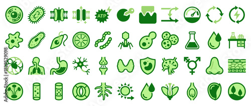 Biology and science solid icon set. containing bacteria, virus, dna, cell, lab, experiment, neuron, plant, flask, and more. Vector collection